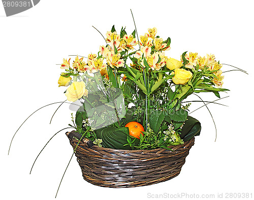 Image of Floral arrangement