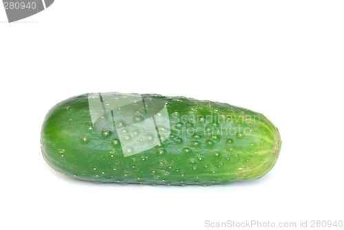 Image of Cucumber