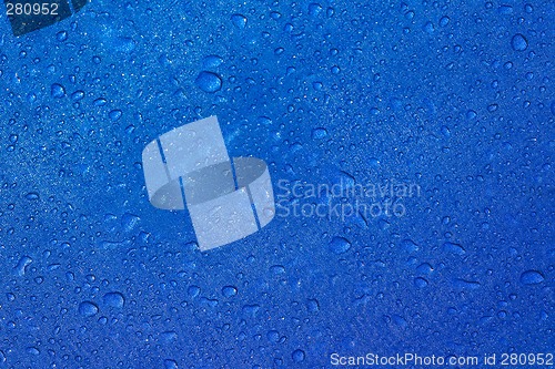 Image of Wet Parasol