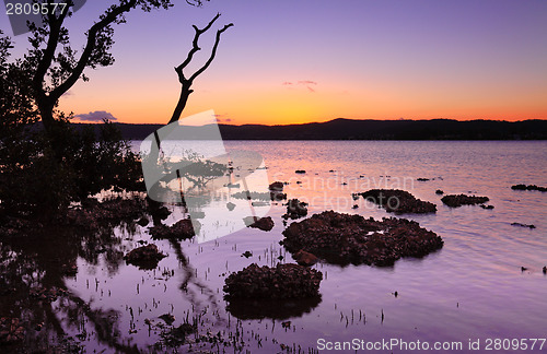 Image of Tidal shallows at sundown landscape