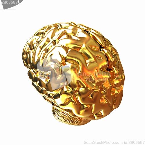Image of Gold human brain