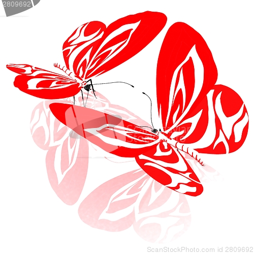 Image of beauty butterflies