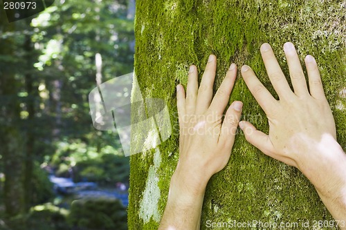 Image of Protecting the nature