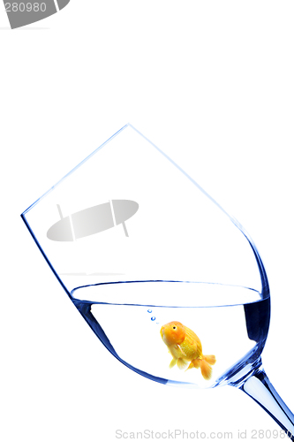 Image of Goldfish in a glass