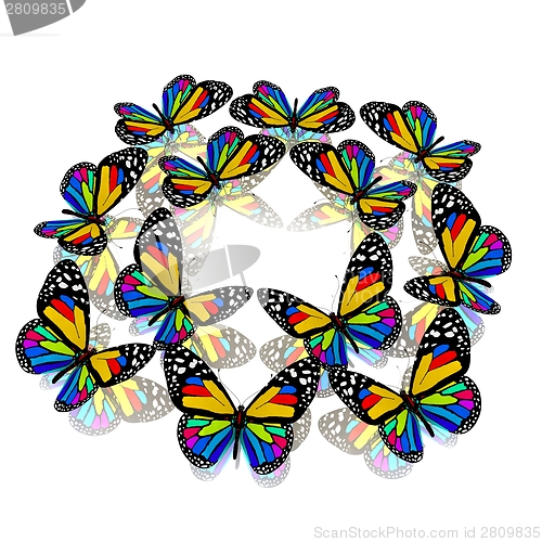 Image of beauty butterflies