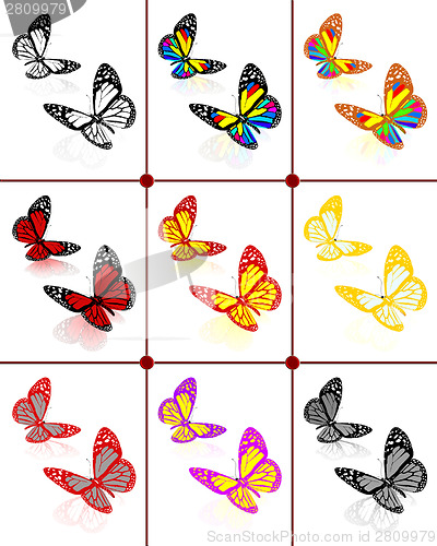 Image of Butterflies botany set