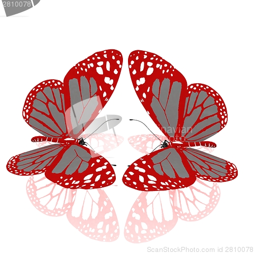 Image of beauty butterflies