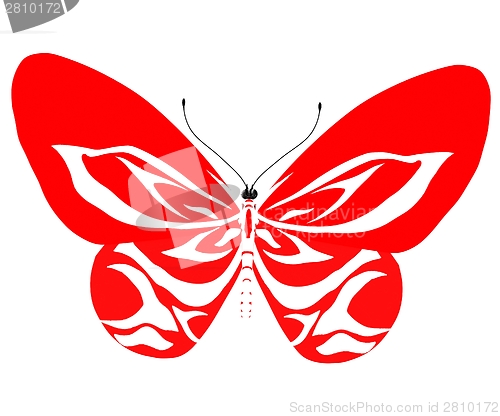 Image of beauty butterfly