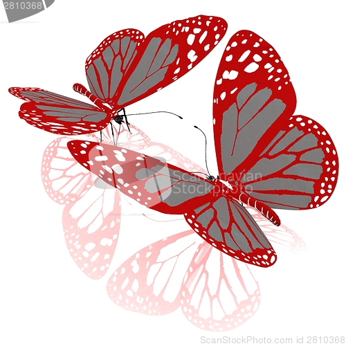 Image of beauty butterflies