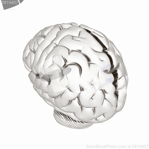 Image of Metall human brain