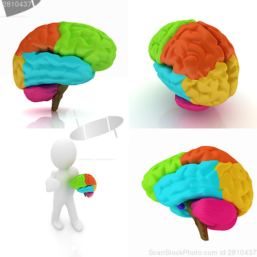 Image of Colorfull human brain
