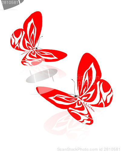 Image of beauty butterflies