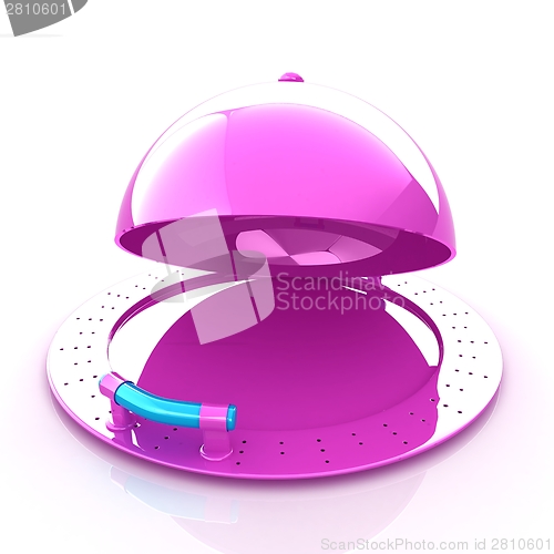 Image of restaurant cloche with open lid 
