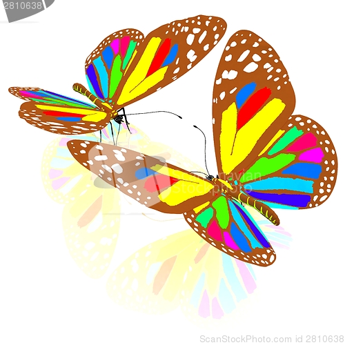Image of beauty butterflies