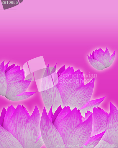 Image of Pink background with tender pink flowers. Perfect for invitation