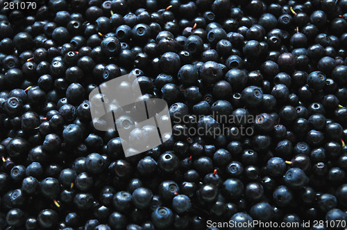 Image of Blueberry background