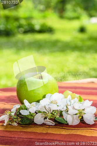 Image of Green apple with a branch of a blossoming apple-tree