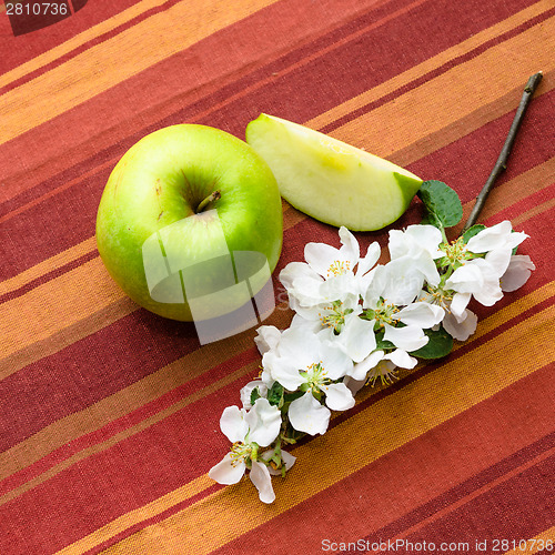 Image of Green apple with a branch close-up