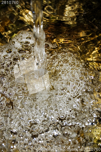 Image of Spring