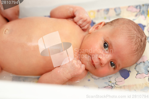 Image of take a bath for a young adorable baby