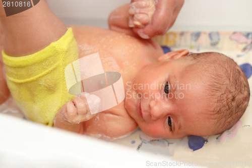 Image of take a bath for a young adorable baby