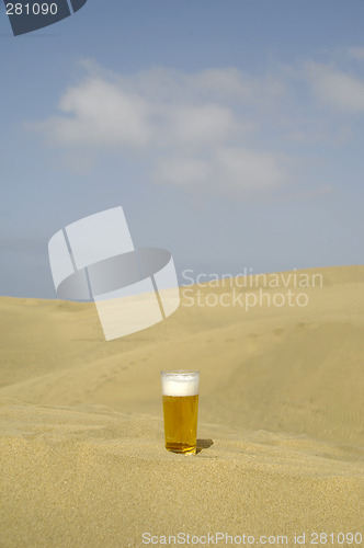 Image of Fresh beer in desert