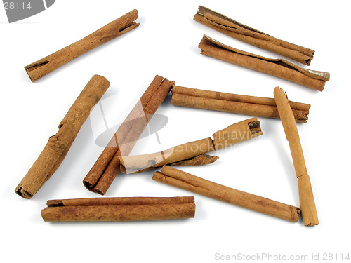 Image of Cinnamon sticks