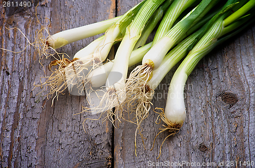 Image of Spring Onion