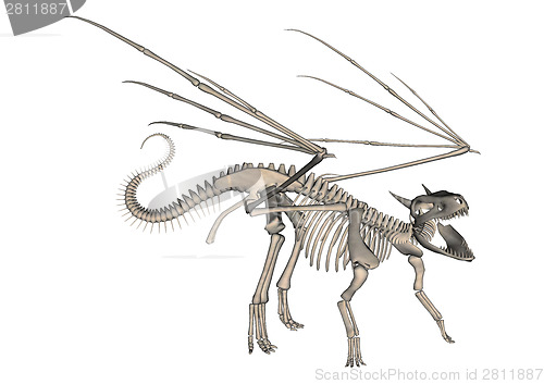 Image of Dragon Skeleton