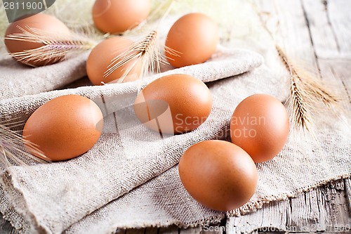 Image of  fresh brown eggs and wheat ears