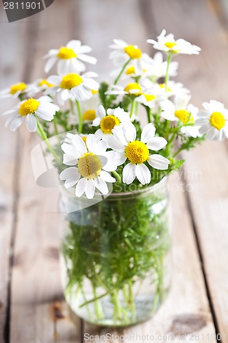 Image of chamomile bouquet 