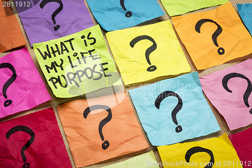 Image of What is my life purpose question