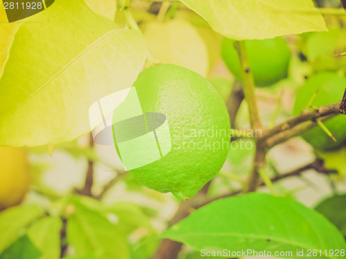 Image of Retro look Lemon picture