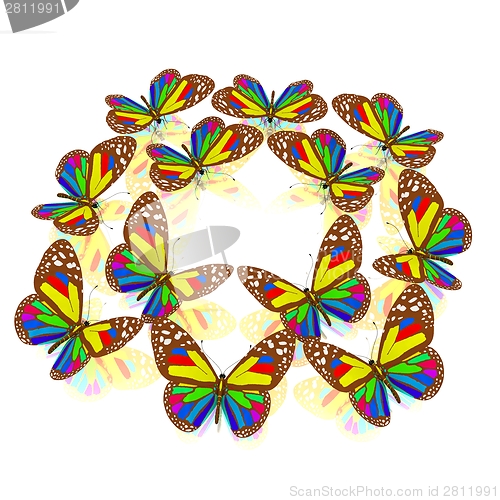 Image of beauty butterflies