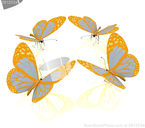 Image of beauty butterflies