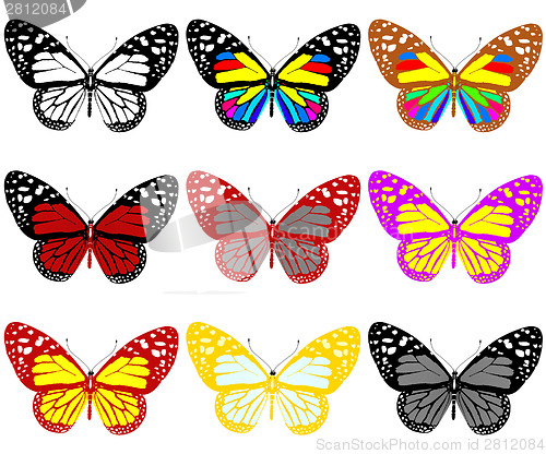 Image of Butterflies botany set