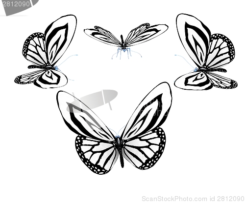 Image of fancy butterflies