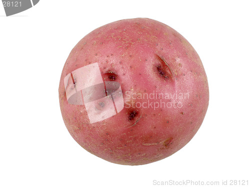 Image of Red potato