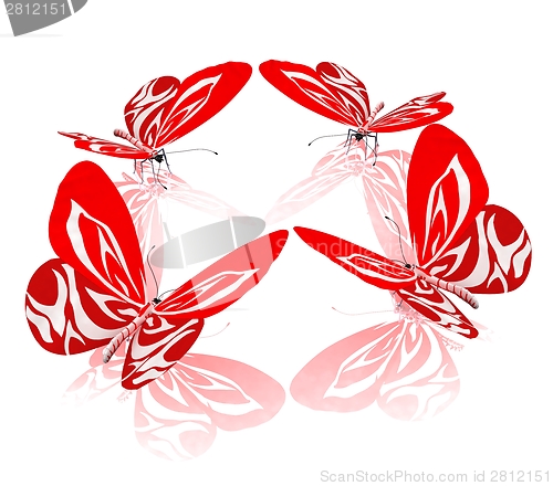 Image of beauty butterflies