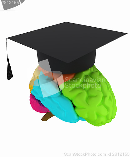 Image of graduation hat on brain