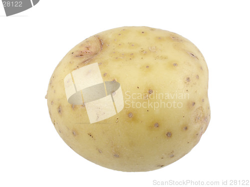 Image of White potato