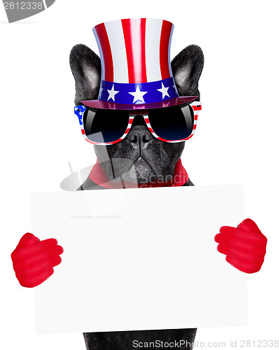 Image of american dog