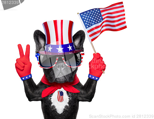 Image of american dog