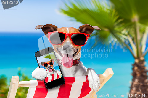 Image of summer selfie dog 