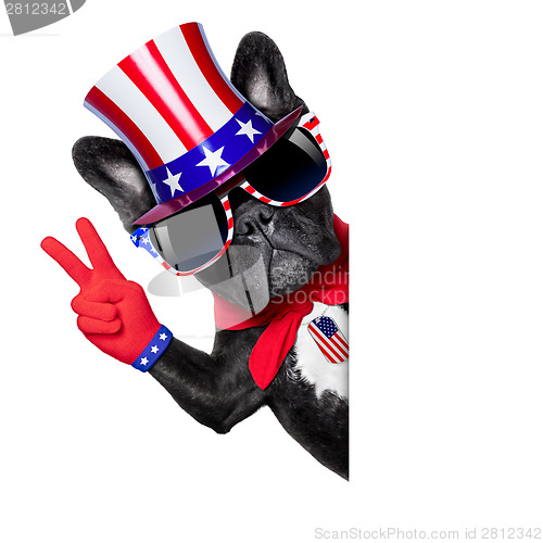 Image of american dog