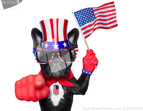 Image of american dog