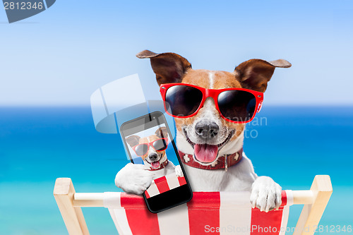 Image of summer selfie dog 