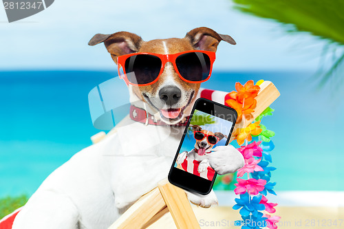 Image of summer selfie dog 