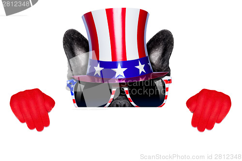 Image of american dog