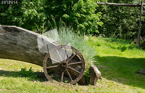 Image of sedges grow near old wooden carriage wheel 